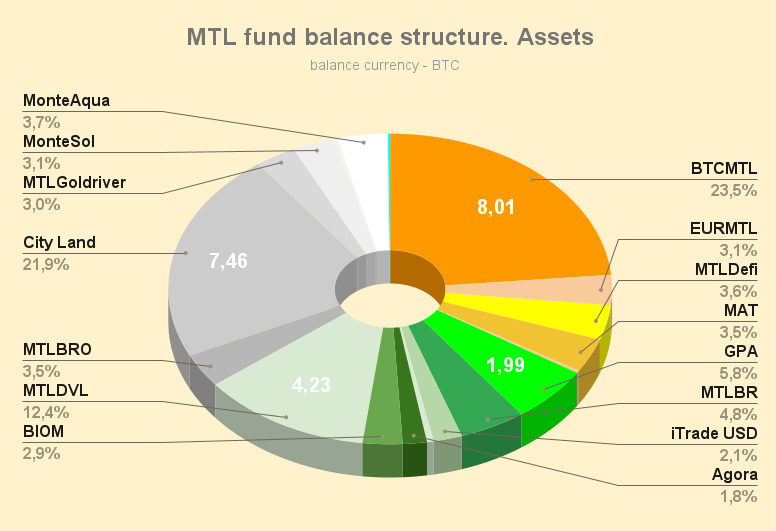 MTL_fund_balance_structure_Assets_230630